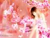 Avatar của hoamautim989