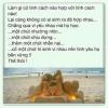 Avatar của bengoc